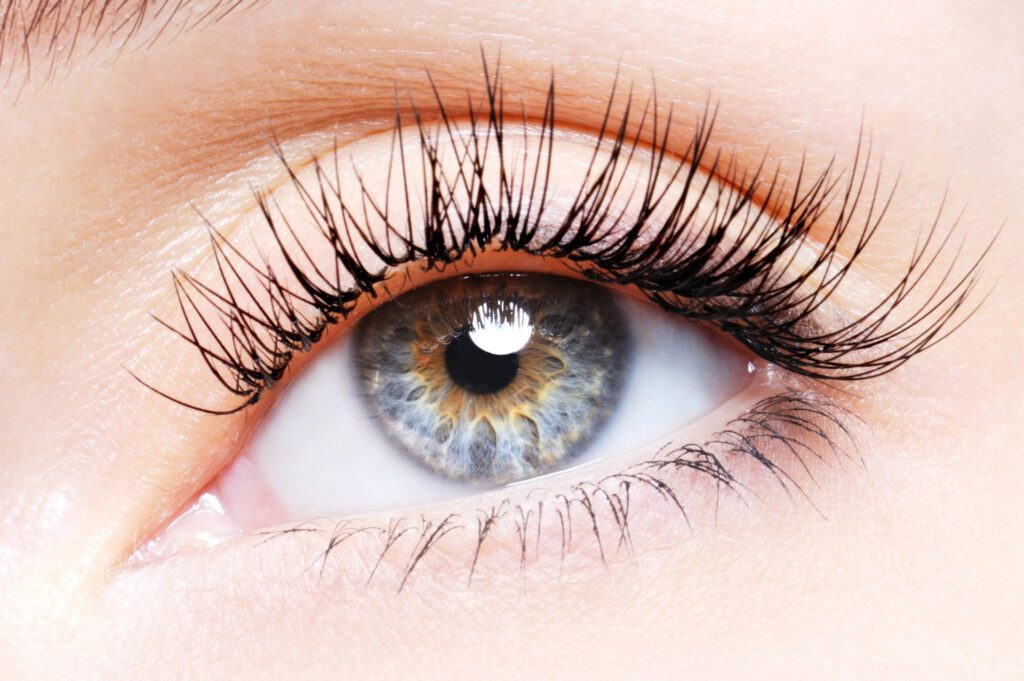 Eyelash in Eye: Causes, Symptoms, Treatment and Home Remedies Eyelash in Eye: Causes, Symptoms, Treatment and Home Remedies