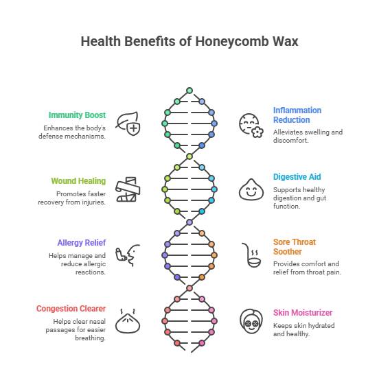 Health Benefits of Honeycomb Wax