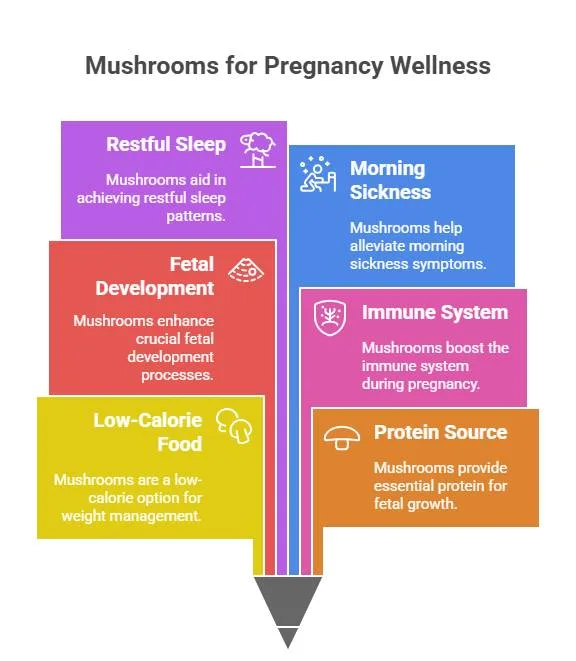 Benefits of Mushrooms During Pregnancy