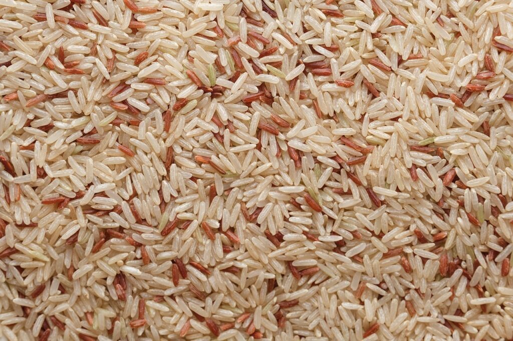 Brown or White Rice Which is Healthier Option for You