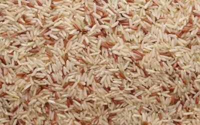Brown or White Rice Which is Healthier Option for You