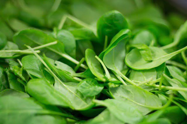 Spinach Brain Boosting Superfoods For Your Growing Children