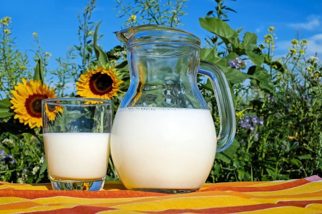Which Type of Cow's Milk is Good for Healthy Body? Which Type of Cow's Milk is Good for Healthy Body?