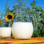 Which type of cow's milk is good for healthy body