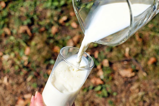 low-fat milk Which type of cow's milk is good for healthy body