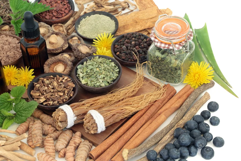 Ashwagandha and Shatavari for Weight Gain