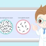 Home remedies to increase sperm count