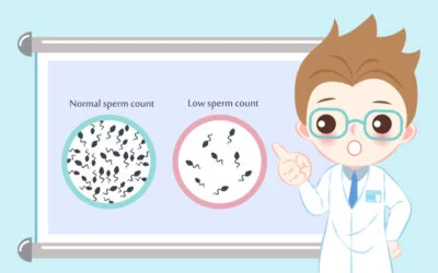 Home remedies to increase sperm count