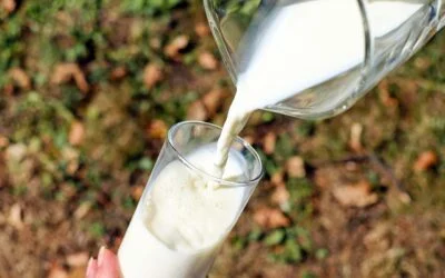 Is It Harmful to Drink Milk With Muskmelon