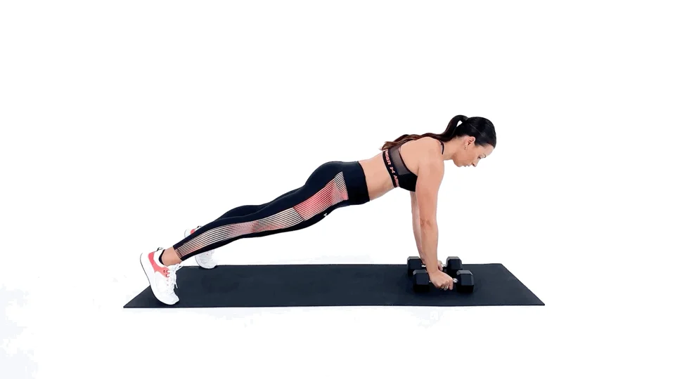 Plank Rows