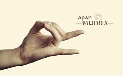 Apan Mudra