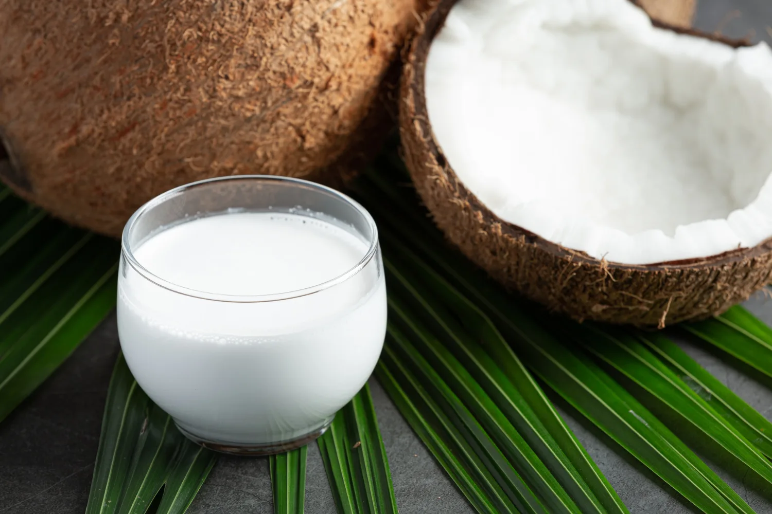 Coconut Kefir